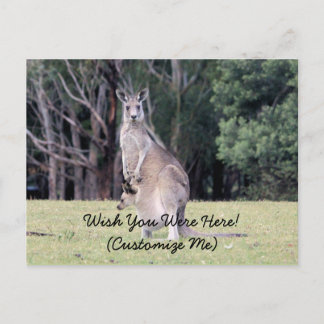 Mutter Kangaroo mit Baby Joey in ihrem Beutel Postkarte