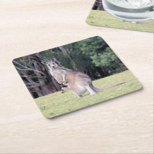 Mutter Kangaroo mit Baby Joey in ihrem Beutel Rechteckiger Pappuntersetzer