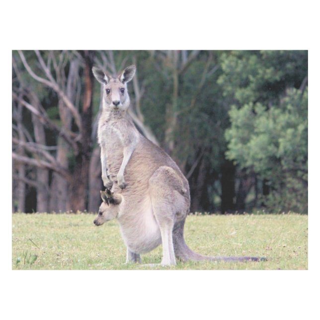 Mutter Kangaroo mit Baby Joey in ihrem Beutel Tischdecke (Vorderseite (Horizontal))