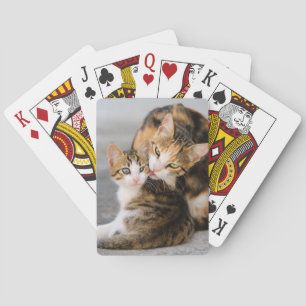 Mutter Katze Lieben Niedlich Kitten Animal Foto - Spielkarten