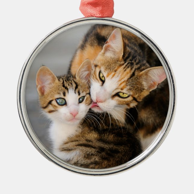 Mutter Katze Lieben Niedlich Kitten Foto - Silbernes Ornament (Vorne)