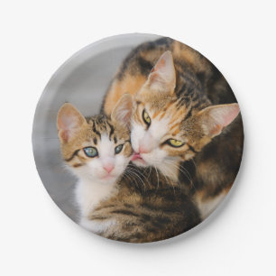Mutter Katze Lieben Niedlich Kitten, Party Pappteller