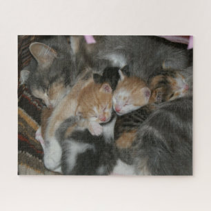 Mutter Katze und Baby Kittens Puzzle