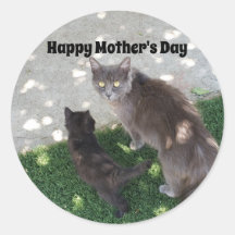 Mutter Katze und Kitten Foto Happy Mother Day