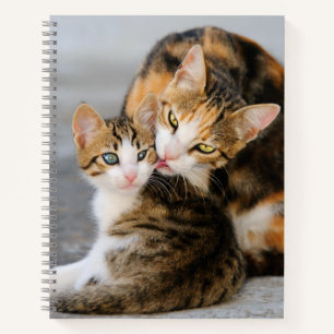 Mutter Katzen Lieben Niedlich Baby Kitten Tier Fot Notizbuch