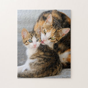 Mutter Katzen Lieben Niedlich Baby Kitten Tier Fot Puzzle