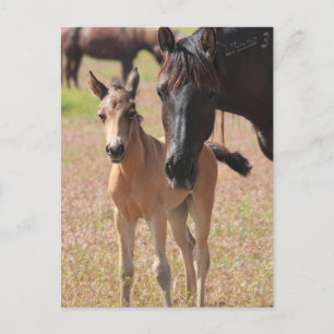 Mutter-Liebe Postkarte