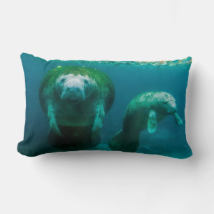 Mutter Manatee mit ihrem Kalb im Crystal River Lendenkissen