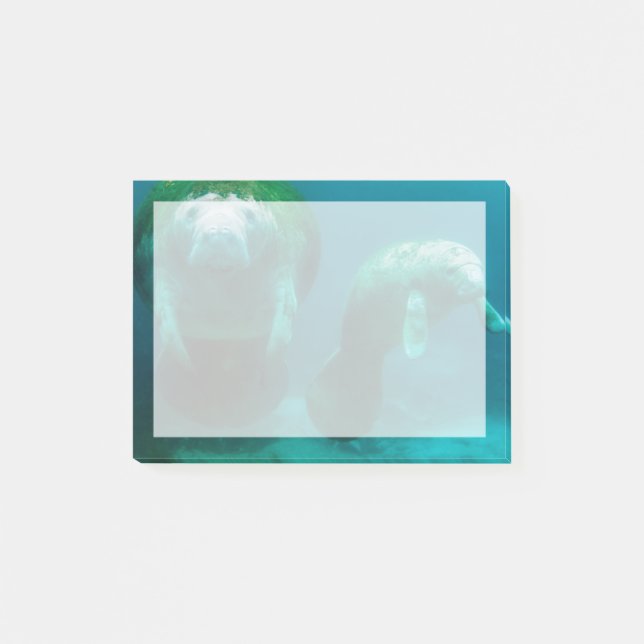 Mutter Manatee mit ihrem Kalb im Crystal River Post-it Klebezettel (Vorderseite)