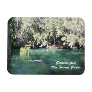 Mutter Manatee mit Kalb Blue Springs personalisier Magnet