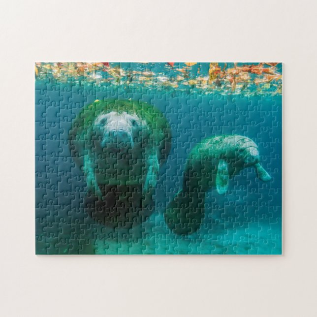 Mutter-Manati mit ihrem Kalb in Crystal River Puzzle (Horizontal)