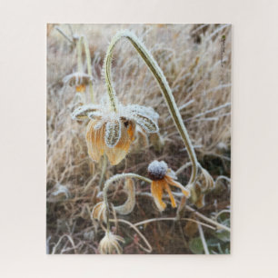 Mutter Natur berührte Frostige Rudbeckia-Blume Puzzle