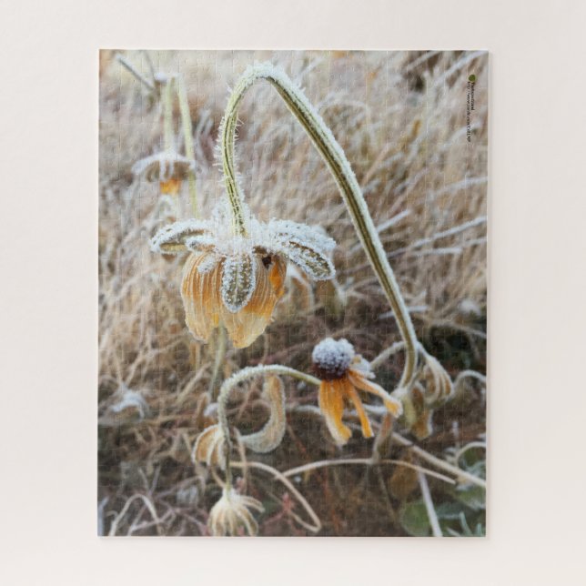 Mutter Natur berührte Frostige Rudbeckia-Blume Puzzle (Vertikal)