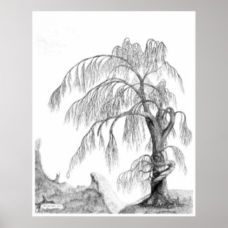 "Mutter Natur" von Jeff Camden Poster