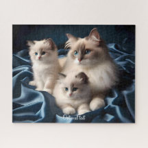 Mutter Ragdoll Cat and Kittens on Blue