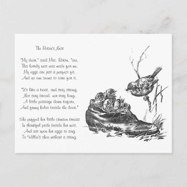 Mutter Robin und ihre Babys in einer Schuhe Postkarte (Vorderseite)