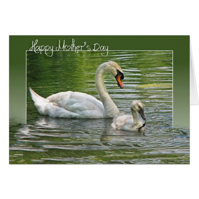 Mutter Schwan mit Cygnet (Vorderseite (Horizontal))
