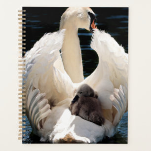 Mutter Schwan mit Cygnets (Babyschwäne) Planer