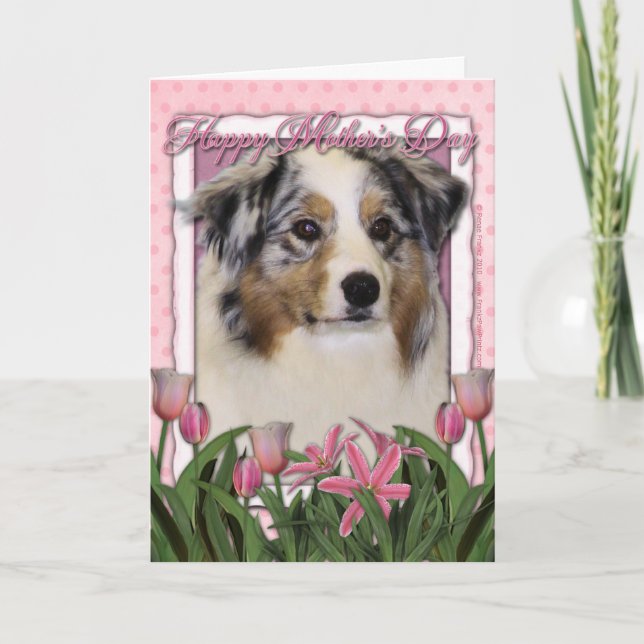 Mutter-Tag - rosa Tulpen - australischer Schäfer Karte (Vorderseite)
