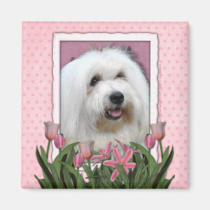 Mutter-Tag - rosa Tulpen - Baumwolle de Tulear Magnet