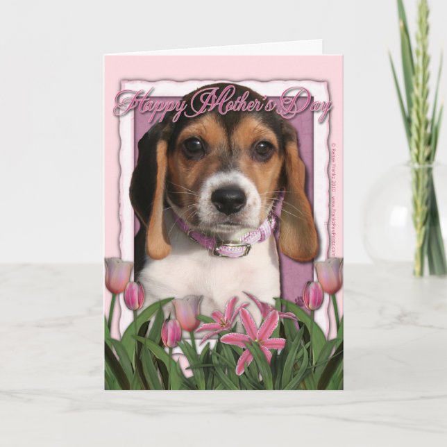 Mutter-Tag - rosa Tulpen - Beagle-Welpe Karte (Vorderseite)