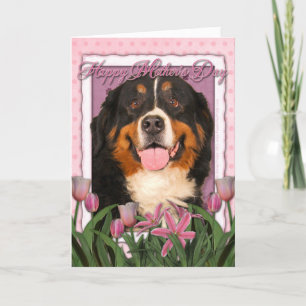 Mutter-Tag - rosa Tulpen - Bernese Gebirgshund Karte