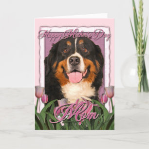 Mutter-Tag - rosa Tulpen - Bernese Gebirgshund Karte