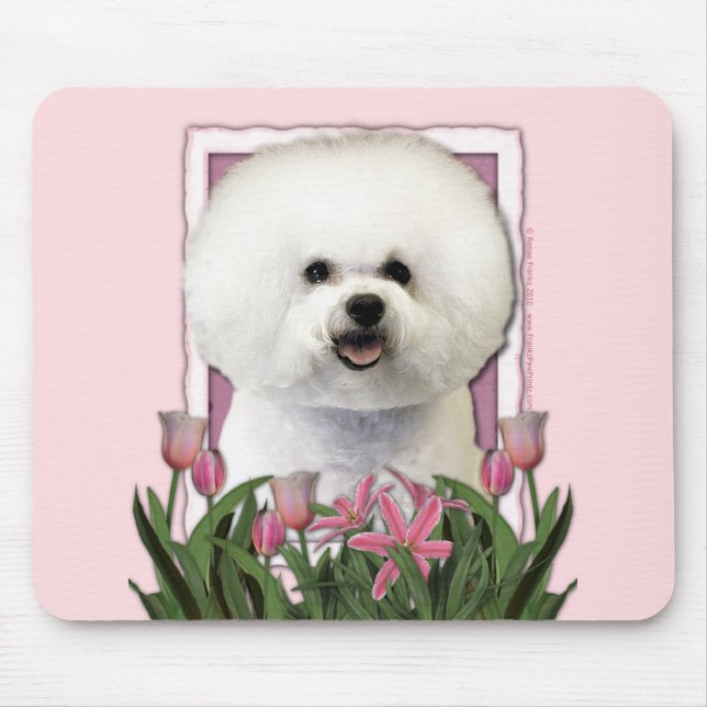 Mutter-Tag - rosa Tulpen - Bichon Frise Mousepad (Vorne)