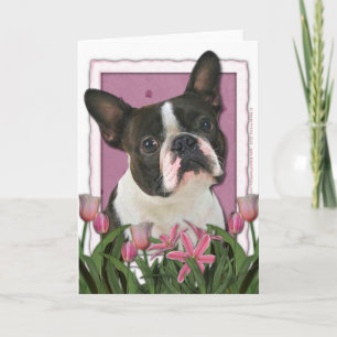 Mutter-Tag - rosa Tulpen - Boston Terrier Karte