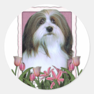 Mutter-Tag - rosa Tulpen - Havanese Runder Aufkleber