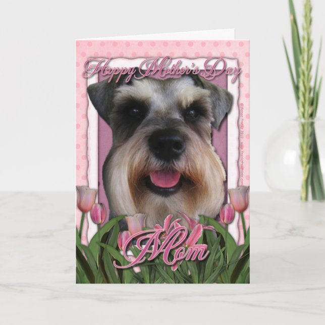 Mutter-Tag - rosa Tulpen - Schnauzer Karte (Vorderseite)