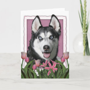 Mutter-Tag - rosa Tulpen - sibirischer Husky Karte