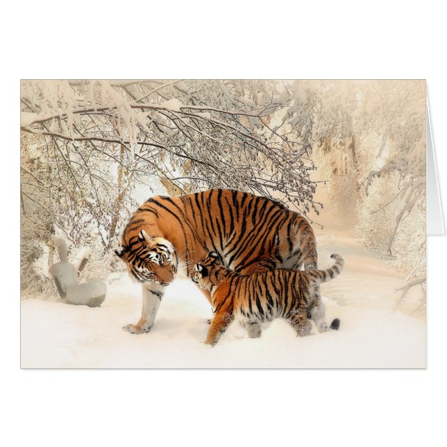 Mutter-Tiger und CUB im Snowy-Holz (Vorderseite (Horizontal))