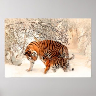 Mutter Tiger und Cube im Schneewald Poster