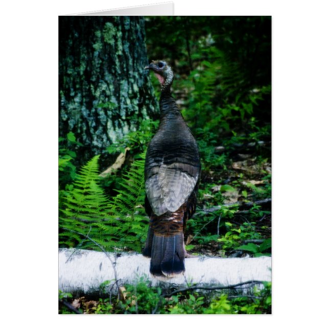 Mutter Türkei Card (Vorne)