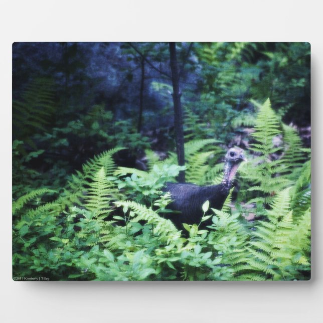 Mutter Türkei in Ferns Plaque Fotoplatte (Vorderseite)