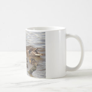 Mutter-u. Baby-Stockenten auf dem Fluss Kaffeetasse
