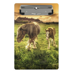 Mutter-u. Fohlen-Pferd Mini Klemmbrett