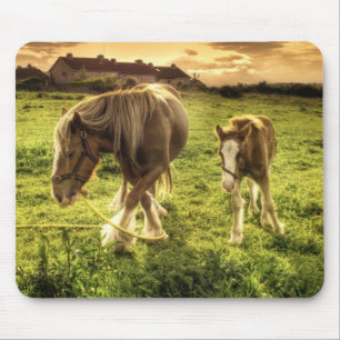 Mutter-u. Fohlen-Pferd Mousepad