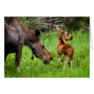 Mutter und Baby