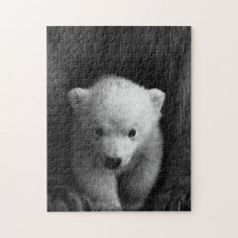 Mutter und Baby Animal Bear Fotografie Jigsaw Puzzle