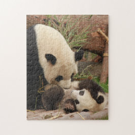 Mutter und Baby Animal Panda BärenfotografieTier Puzzle