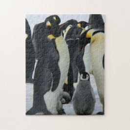 Mutter und Baby Animal Pinguin Fotografie Tier Puzzle