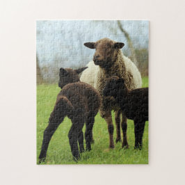 Mutter und Baby Animal Sheep Fototier Puzzle