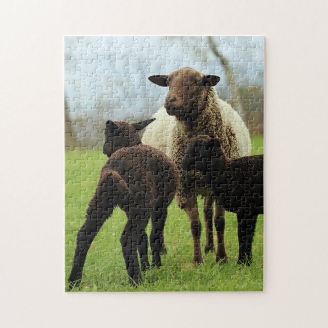 Mutter und Baby Animal Sheep Fototier Puzzle (Vertikal)