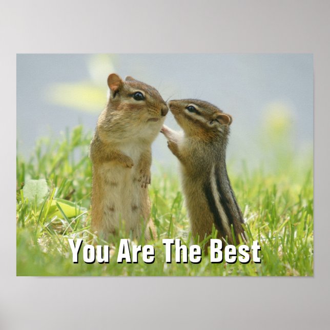 Mutter und Baby Chipmunk Poster (Vorne)