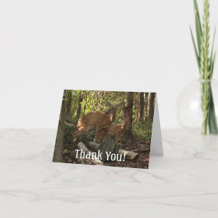 Mutter und Baby Deer im Shenandoah-Nationalpark Dankeskarte
