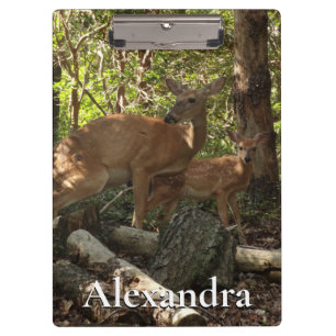 Mutter und Baby Deer im Shenandoah-Nationalpark Klemmbrett