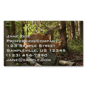 Mutter und Baby Deer im Shenandoah-Nationalpark Magnetische Visitenkarte