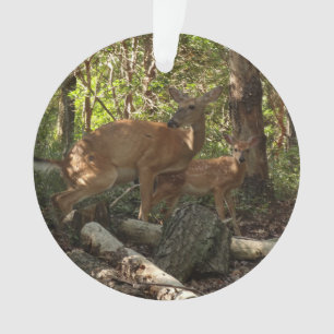 Mutter und Baby Deer im Shenandoah-Nationalpark Ornament